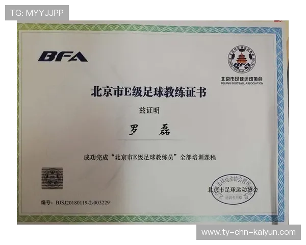 足球裁判助手AI软件优化边线判罚精度，足球裁判助理手势图解